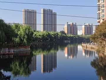 揭秘精準(zhǔn)王中王，探索數(shù)字世界里的秘密寶藏，揭秘精準(zhǔn)王中王，數(shù)字寶藏的秘密探索之旅