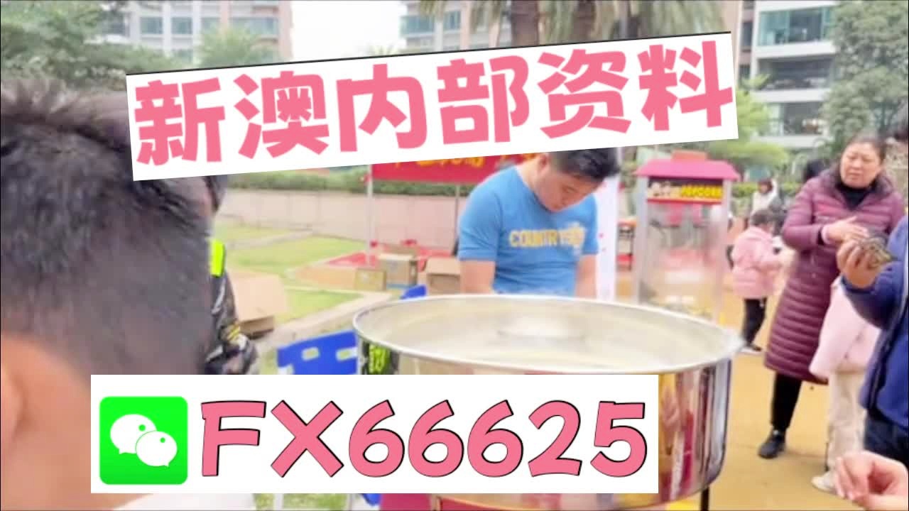 新奧2025最新資料大全，全面解析與深度洞察，新奧2025最新資料詳解與深度洞察報(bào)告