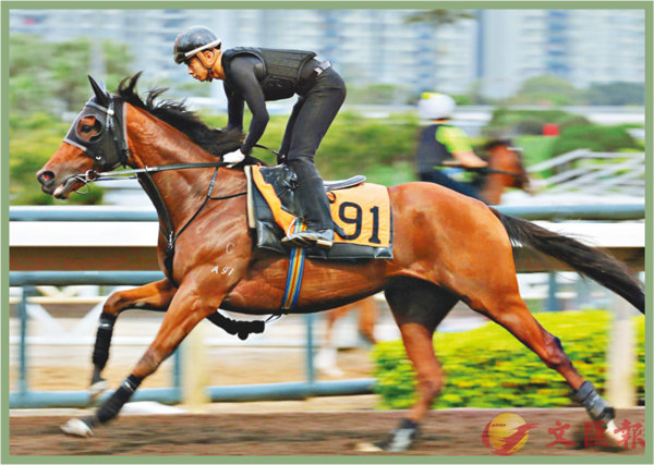 香港賽馬，探尋賽道上的激情與榮耀——7777788888的獨特魅力，香港賽馬，探尋賽道激情與榮耀，7777788888的獨特魅力