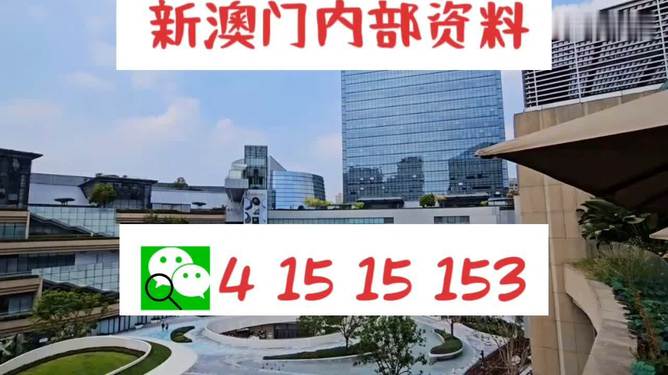 新澳門精準7777788888關鍵詞SEO文章，澳門精準關鍵詞SEO文章，探索數(shù)字世界中的奧秘與機遇