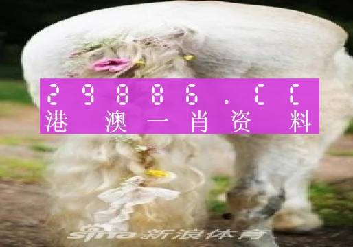 澳門羊了個羊游戲與熱門圖庫的資料探索，澳門羊了個羊游戲與熱門圖庫的資料深度探索