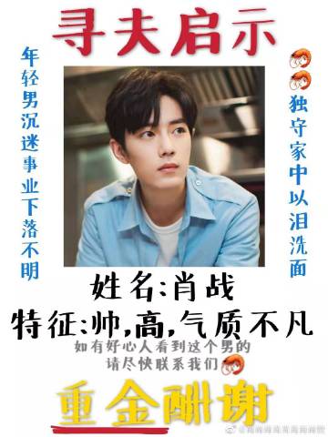 一肖一碼一一肖一子善，探尋背后的奧秘與深意，探尋一肖一碼一與子善背后的奧秘與深意