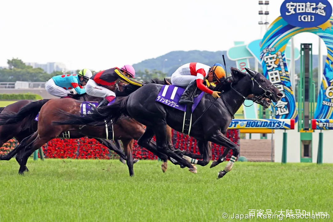香港特馬王中王中王，揭秘背后的故事與神秘面紗，揭秘香港特馬王中王中王的神秘面紗與背后故事