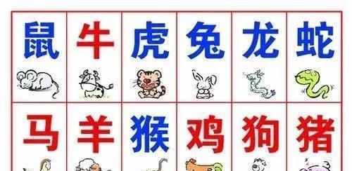 新澳特碼，羊?；⒏鲾?shù)10的獨(dú)特魅力與探索，新澳特碼，羊?；⒏鲾?shù)10的獨(dú)特魅力與奧秘探索