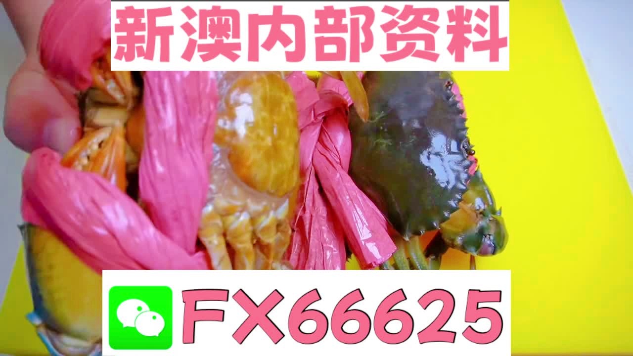 新奧特碼走勢圖解析與預(yù)測，新奧特碼走勢圖解析與預(yù)測，未來趨勢探討