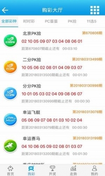 新澳門王中王期期中的奧秘與探索，澳門王中王期期奧秘揭秘與深度探索
