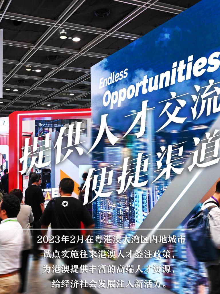 新澳內(nèi)部總爆料，深度揭示內(nèi)部運(yùn)營與管理秘密，新澳內(nèi)部揭秘，深度探索運(yùn)營與管理之謎