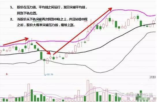 新澳門生肖走勢圖分布圖，深度解析與預(yù)測，澳門生肖走勢圖深度解析與預(yù)測，分布圖及未來趨勢探討