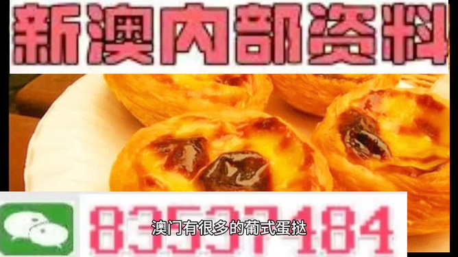 探索未來，2025新澳最新精準特色展望，2025新澳展望，探索未來精準特色發(fā)展之路