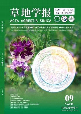 芳草地心水論主論壇最新更新內(nèi)容解析，芳草地心水論主論壇更新內(nèi)容深度解析