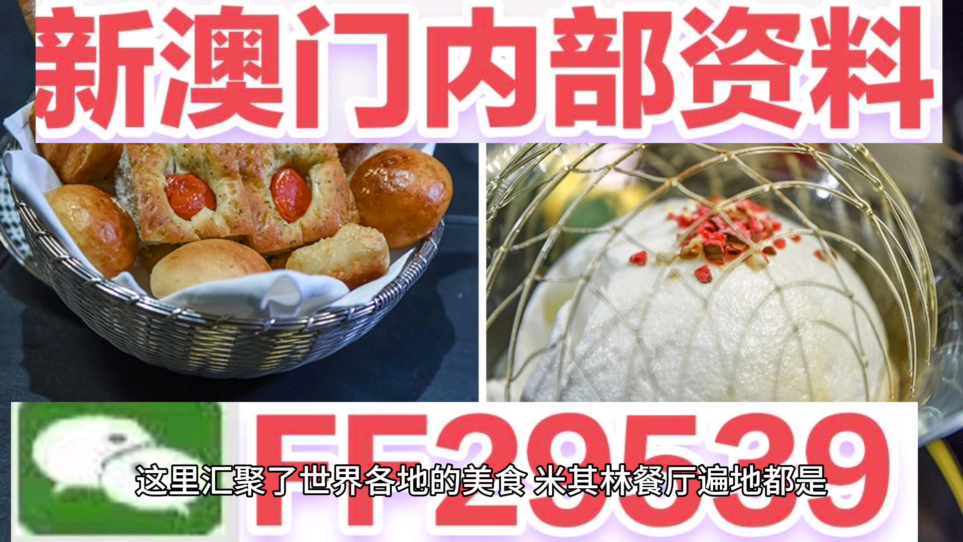 澳門特碼，探索與解析，澳門特碼解析與探索之旅