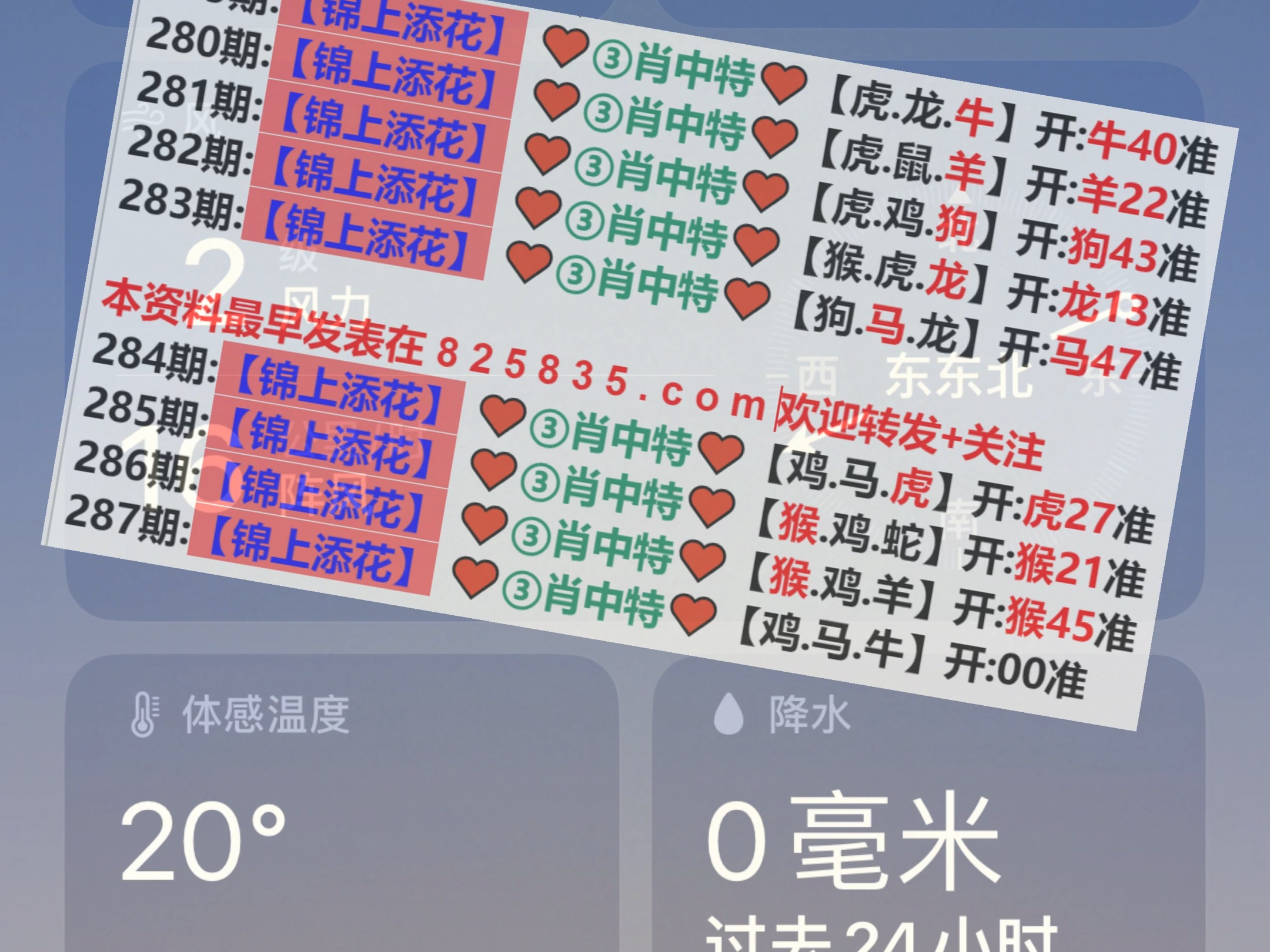 新澳2025年精準一肖一碼預測與解析，新澳2025年生肖一碼預測解析