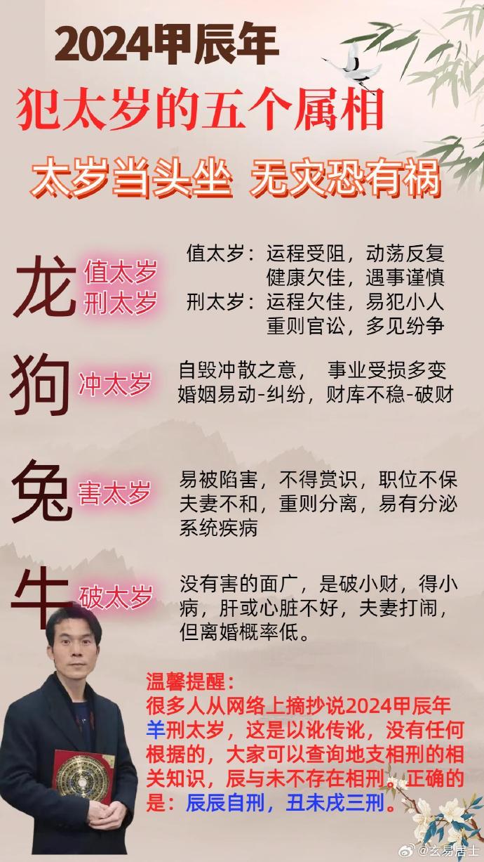 羊報揭秘，探尋2025年生肖一碼的秘密，揭秘生肖羊的神秘面紗，探尋2025年生肖一碼的秘密