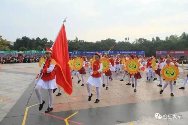 儀仗女兵舞蹈，展現(xiàn)力與美的完美結(jié)合，儀仗女兵舞蹈，力與美的完美交融