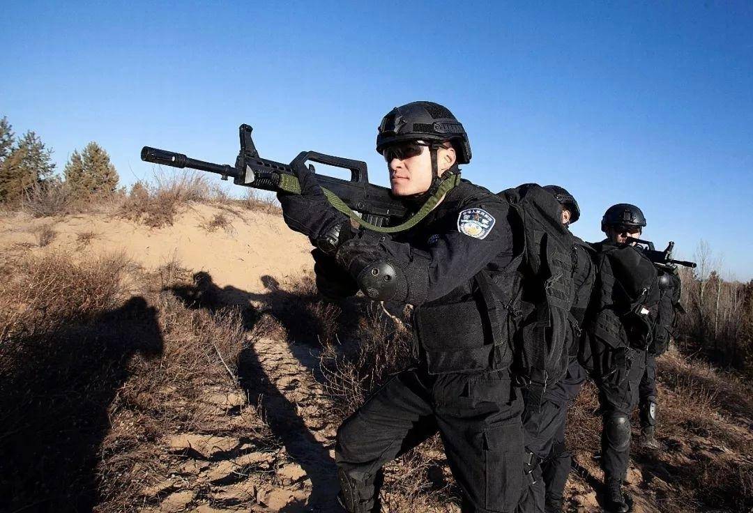 武警和特警的區(qū)別，職責(zé)、訓(xùn)練與裝備差異解析，武警與特警，職責(zé)、訓(xùn)練、裝備差異深度解析與比較
