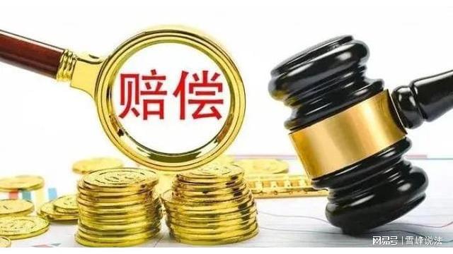 一肖賠多少倍，深度解析與實(shí)用指南，一肖賠多少倍，深度解析與投注策略指南