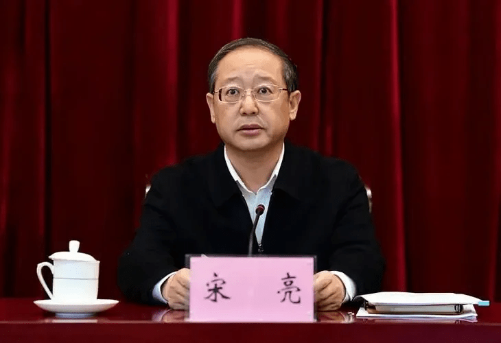 三肖王中王選一肖，深度解析與策略探討，三肖王中王選一肖，深度解析與策略指南