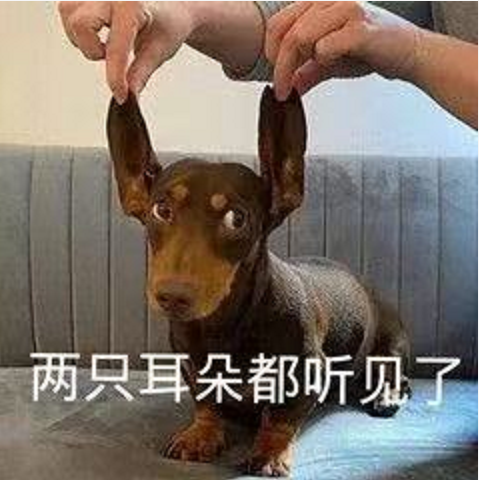 王中王四不像必正一肖——揭秘背后的奧秘，揭秘王中王四不像必正一肖背后的秘密