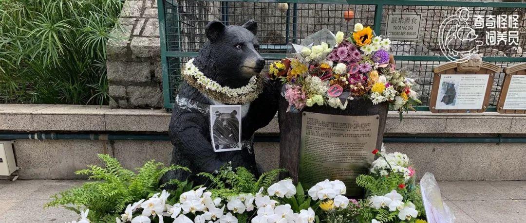澳門今天最快開獎結(jié)果及彩票開獎信息詳解，澳門今日彩票開獎結(jié)果及最新開獎信息詳解