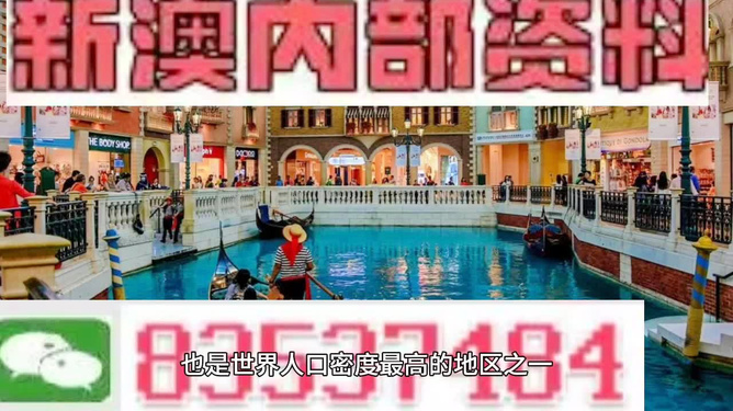 新澳門精準(zhǔn)資料大全，龍門客棧與管家婆料的專業(yè)解讀，澳門精準(zhǔn)資料大全，龍門客棧與管家婆料的專業(yè)解讀與解析