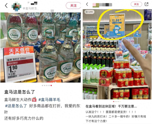 王中王45期指一生肖，深度解析與預(yù)測(cè)，王中王45期生肖深度解析與預(yù)測(cè)