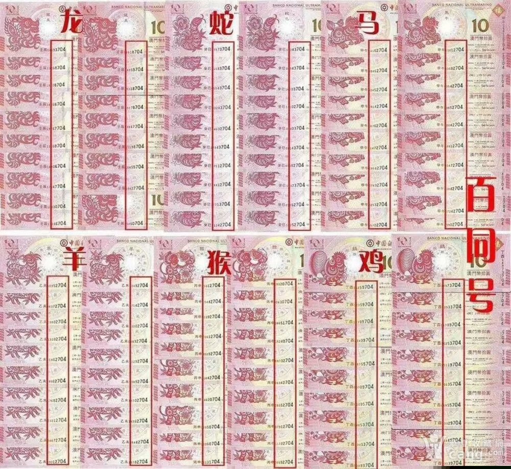 四肖期期誰一王中王——揭秘背后的秘密，揭秘四肖期期王中王背后的秘密