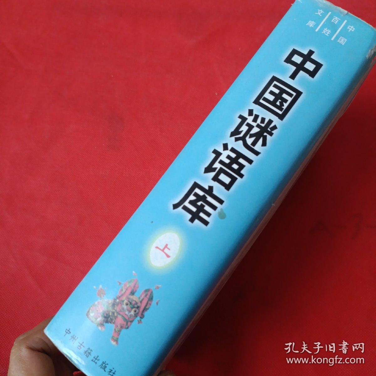 王中王謎語(yǔ)解一肖中特，探尋謎底背后的奧秘，探尋王中王謎語(yǔ)解一肖中特背后的奧秘