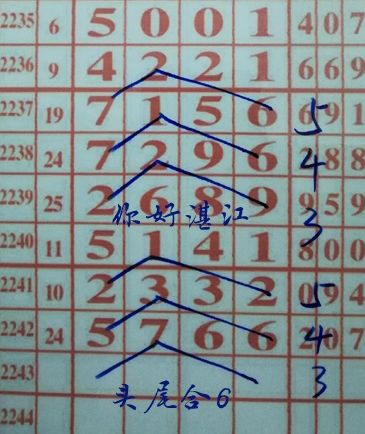 二中二一肖一尾的計算方法詳解，二中二一肖一尾的計算方法深度解析