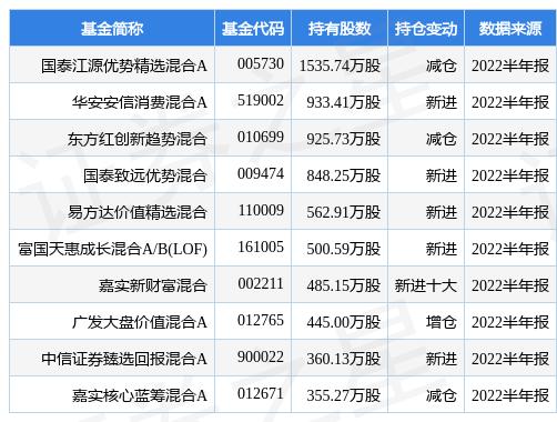 新奧精準(zhǔn)精選免費(fèi)提供，探索SEO的最佳實(shí)踐之路，新奧精準(zhǔn)精選，探索SEO最佳實(shí)踐之路