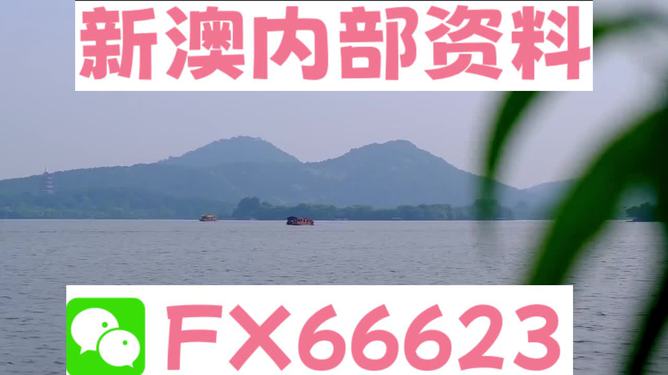 新澳今天最新免費資料分享與探索，新澳今日免費資料分享與探索之旅