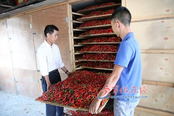 王中王王中王免費資料大全一，深度解析與探索，王中王王中王資料大全深度解析與探索一