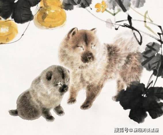 澳門今晚必開(kāi)一肖，揭秘生肖狗運(yùn)勢(shì)與預(yù)測(cè)，澳門今晚生肖預(yù)測(cè)，揭秘生肖狗的運(yùn)勢(shì)與幸運(yùn)展望