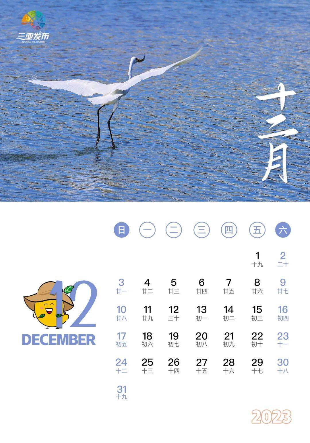 月份Jun是幾月份，深入了解六月的特點(diǎn)與重要性，六月特色揭秘，深入了解Jun月份的特點(diǎn)與重要性