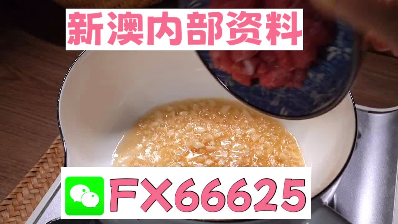 新澳門資料大全正版資料2025免費下載——家野中特的全面指南，澳門正版資料大全2025，家野中特的全面指南（免費下載）