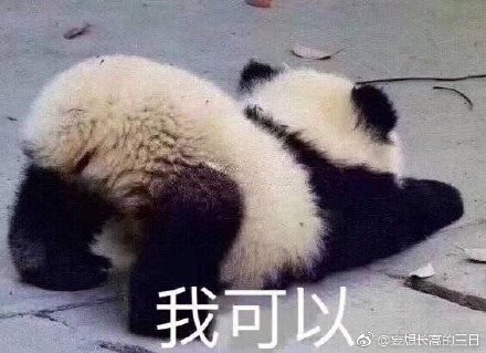 揭秘劉伯溫四不像平直一肖的神秘面紗，探尋背后的故事與智慧，劉伯溫四不像平直一肖背后的故事與智慧揭秘