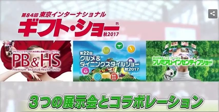 王中王84期指一生肖，深度解析與預(yù)測(cè)，王中王84期生肖深度解析與預(yù)測(cè)報(bào)告