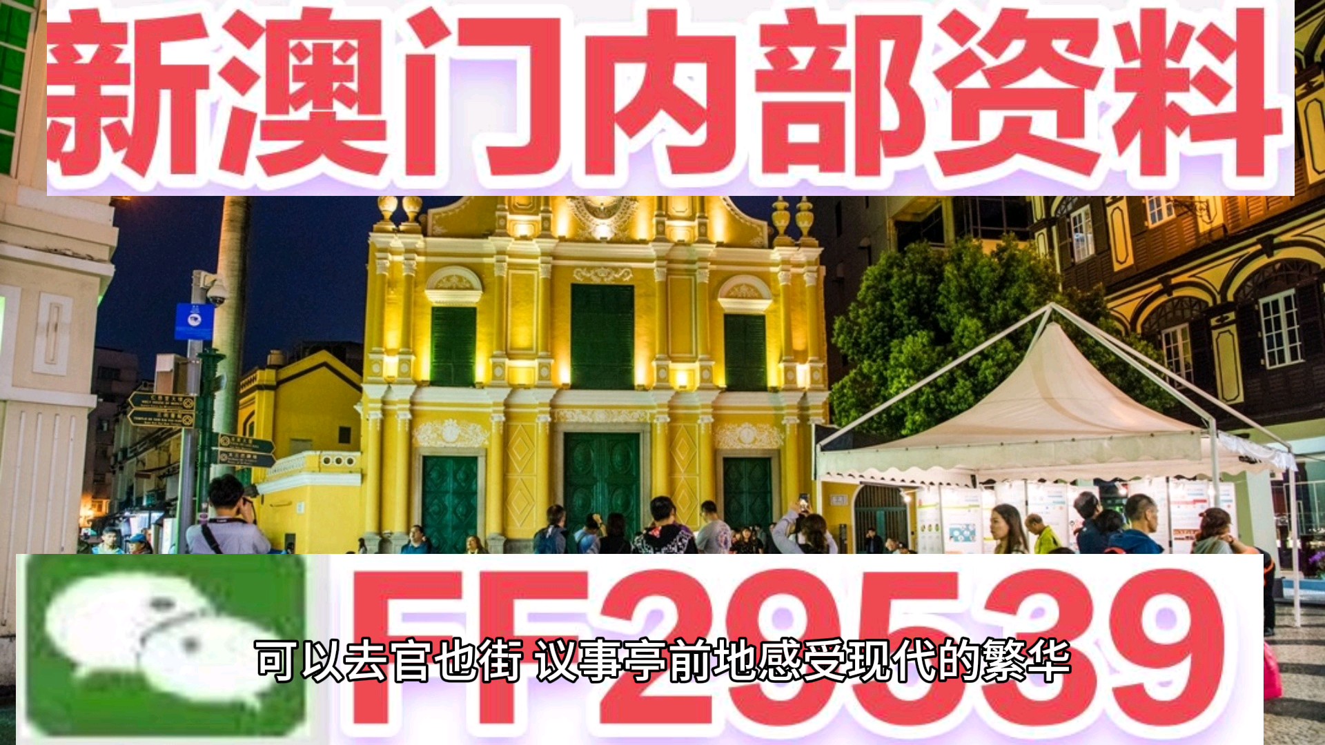 澳門特馬今晚開獎81期，探索彩票背后的秘密與策略，澳門特馬81期開獎探索，彩票背后的秘密與策略