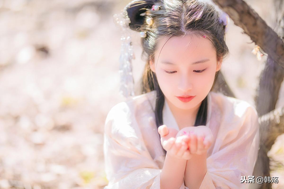 揭秘劉伯溫四不像一肖中的奧秘，劉伯溫四不像一肖奧秘揭秘