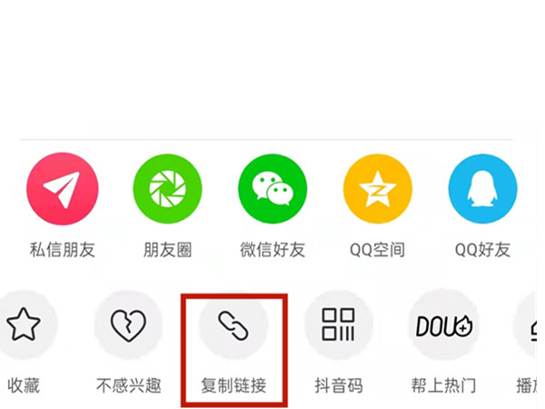 一肖一肖免費(fèi)中特王中王——揭秘彩票預(yù)測背后的秘密，揭秘彩票預(yù)測真相，一肖一肖免費(fèi)中特王中王探秘