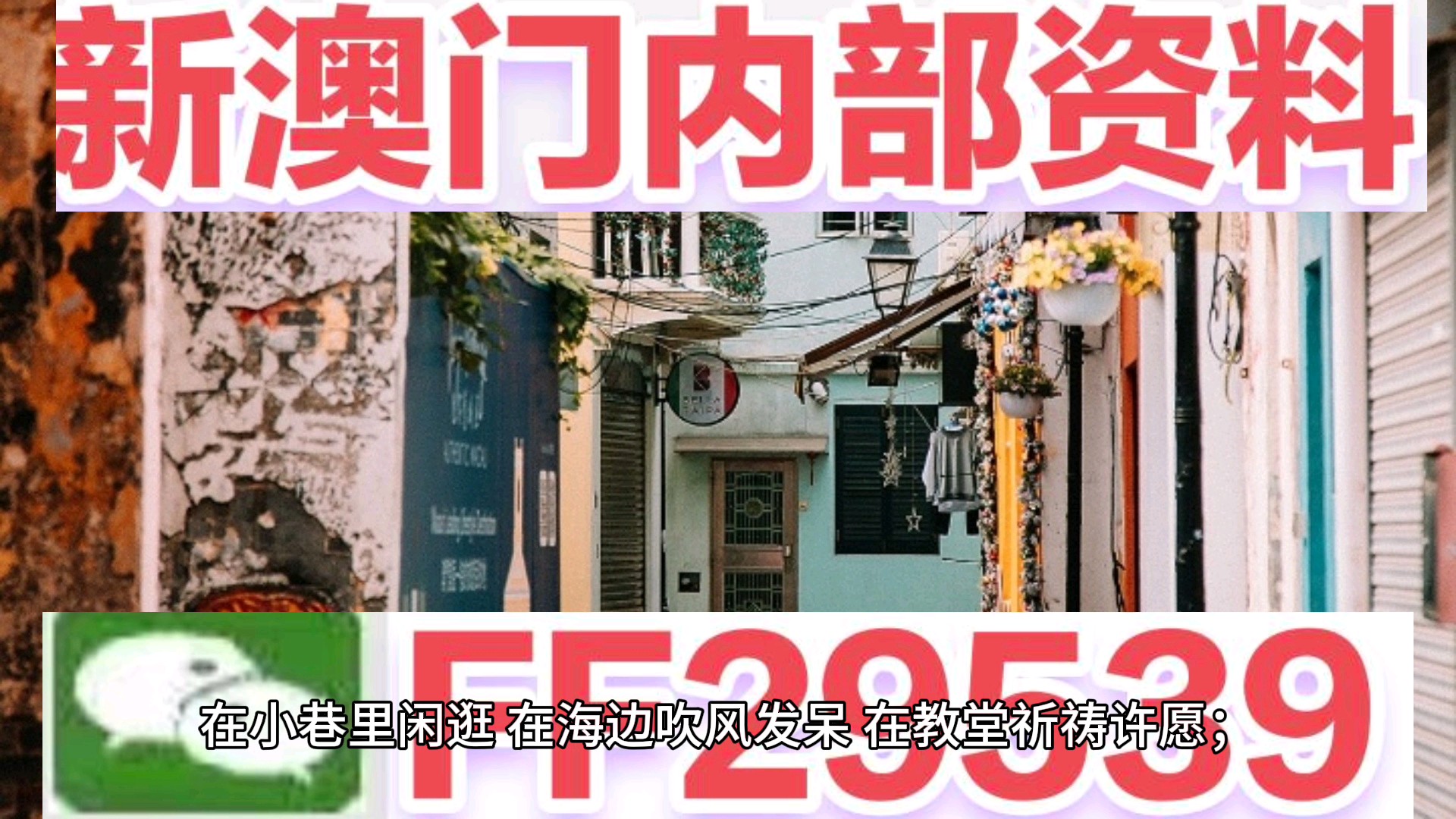 澳門正版資料大全資料，探索與了解，澳門正版資料大全，深度探索與了解