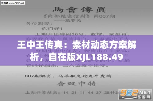王中王164期指一生肖，深度解讀與SEO優(yōu)化策略，王中王164期生肖深度解讀與SEO優(yōu)化策略全解析