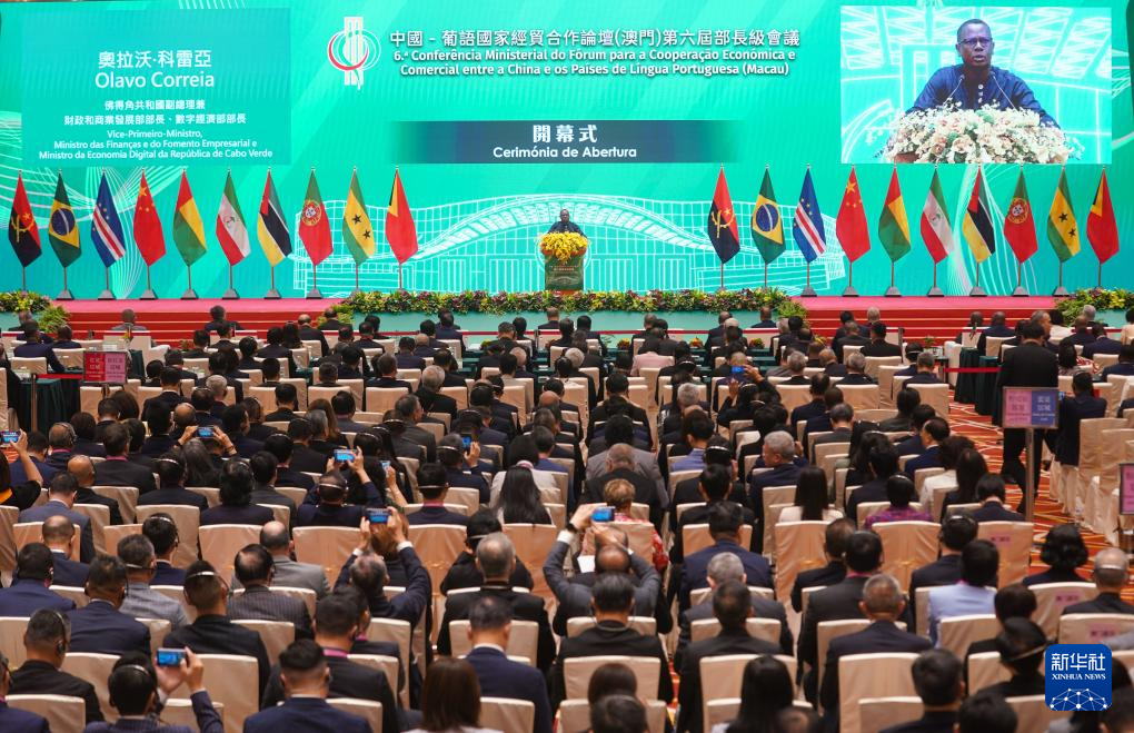 澳門論壇idre，探索與解析，澳門論壇idre，深度探索與解析