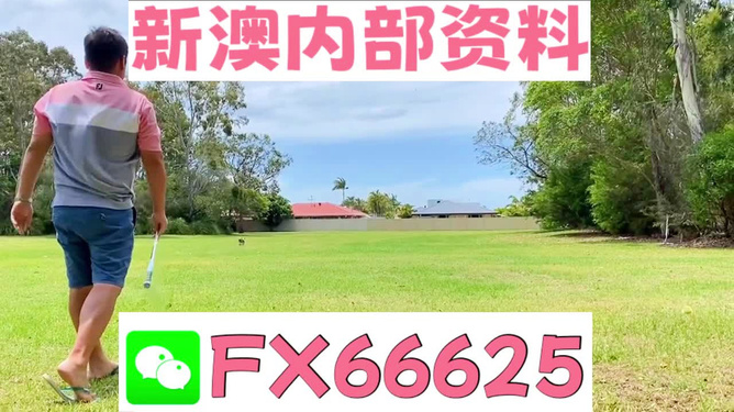 王中王一肖中碼，探尋背后的秘密與策略，揭秘王中王一肖中碼背后的策略與秘密