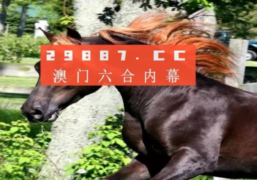 澳門夜明珠八百圖庫開獎(jiǎng)最快——探索澳門博彩文化中的夜明珠魅力與圖庫奧秘，澳門夜明珠魅力揭秘，圖庫開獎(jiǎng)速度與博彩文化探索