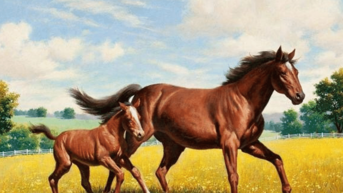 王中王128期馬一生肖，探尋生肖馬之魅力與運(yùn)勢(shì)，探尋生肖馬之魅力與運(yùn)勢(shì)，王中王128期馬一生肖解析