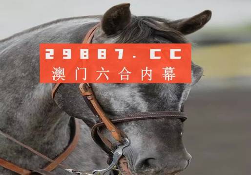 澳門一一碼一特一中準(zhǔn)選今晚，探索澳門的魅力與精準(zhǔn)預(yù)測，澳門魅力探索與今晚精準(zhǔn)一碼預(yù)測