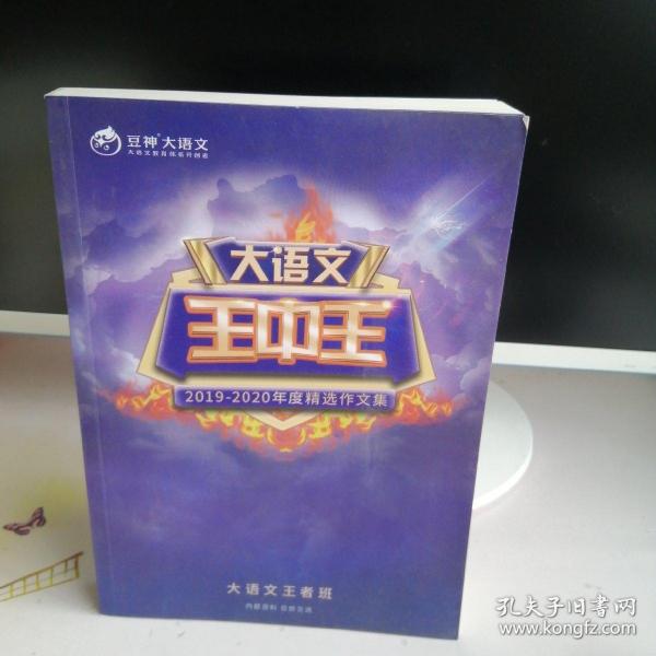 揭秘2019王中王一肖，背后的故事與SEO策略，揭秘王中王一肖，背后的故事與SEO策略全解析