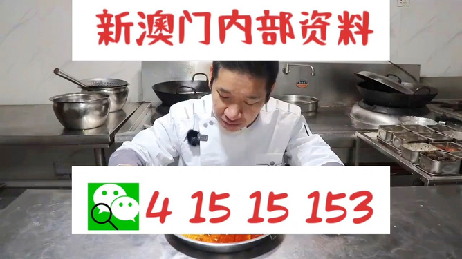 管家婆204年資料一肖配成龍——揭秘背后的故事與奧秘，揭秘管家婆與成龍背后的故事與奧秘，一肖資料探秘204年傳奇之路