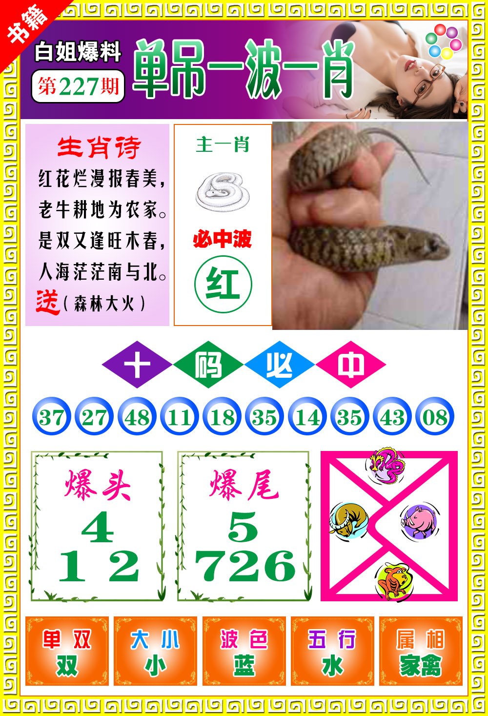 王中王開獎一肖免費——揭秘彩票秘密，掌握財富先機，揭秘彩票秘密，王中王開獎一肖免費，掌握財富先機！
