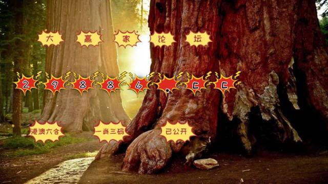 澳門二至六房開獎(jiǎng)結(jié)果，深度解析與實(shí)時(shí)資訊，澳門二至六房開獎(jiǎng)結(jié)果深度解析及實(shí)時(shí)資訊匯總